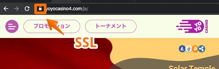 ヨヨカジノ-SSL
