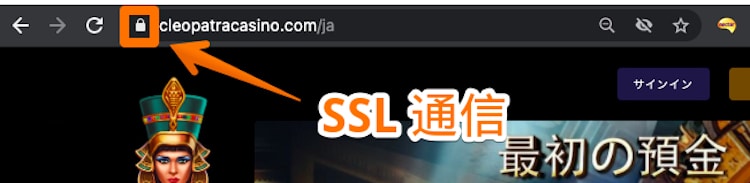 クレオパトラカジノ-SSL