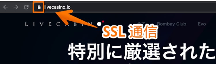 ライブカジノアイオー-SSL