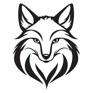 Tomo